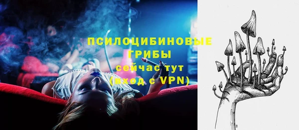тгк Белокуриха