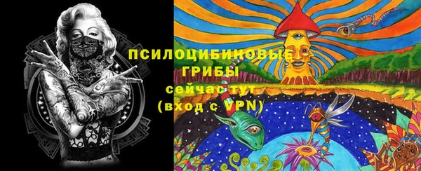 сатива Ростов