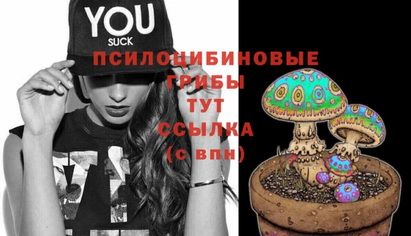 соль ск Тихорецк