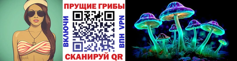 блэк спрут маркетплейс  Сычёвка  Псилоцибиновые грибы Magic Shrooms 